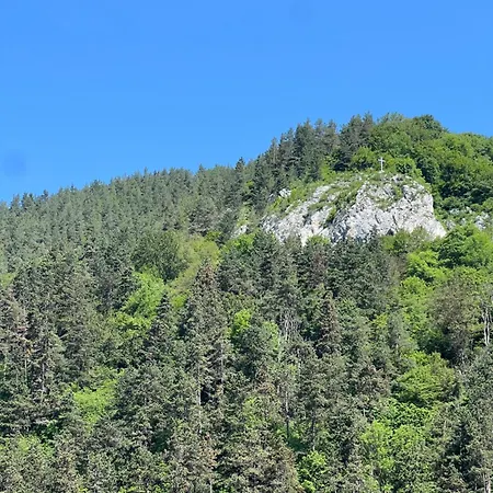 Gasthof Pensiunea Carina Bran (Brasov)